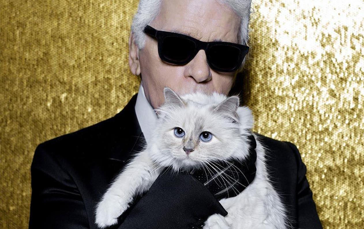 Karl Lagerfeld Fans Are Worried For Choupette, His Precious Birman Kitty