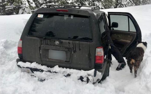 A Bloke & His Dog Survived Five Days Snowed In A Car By Eating Hot Sauce
