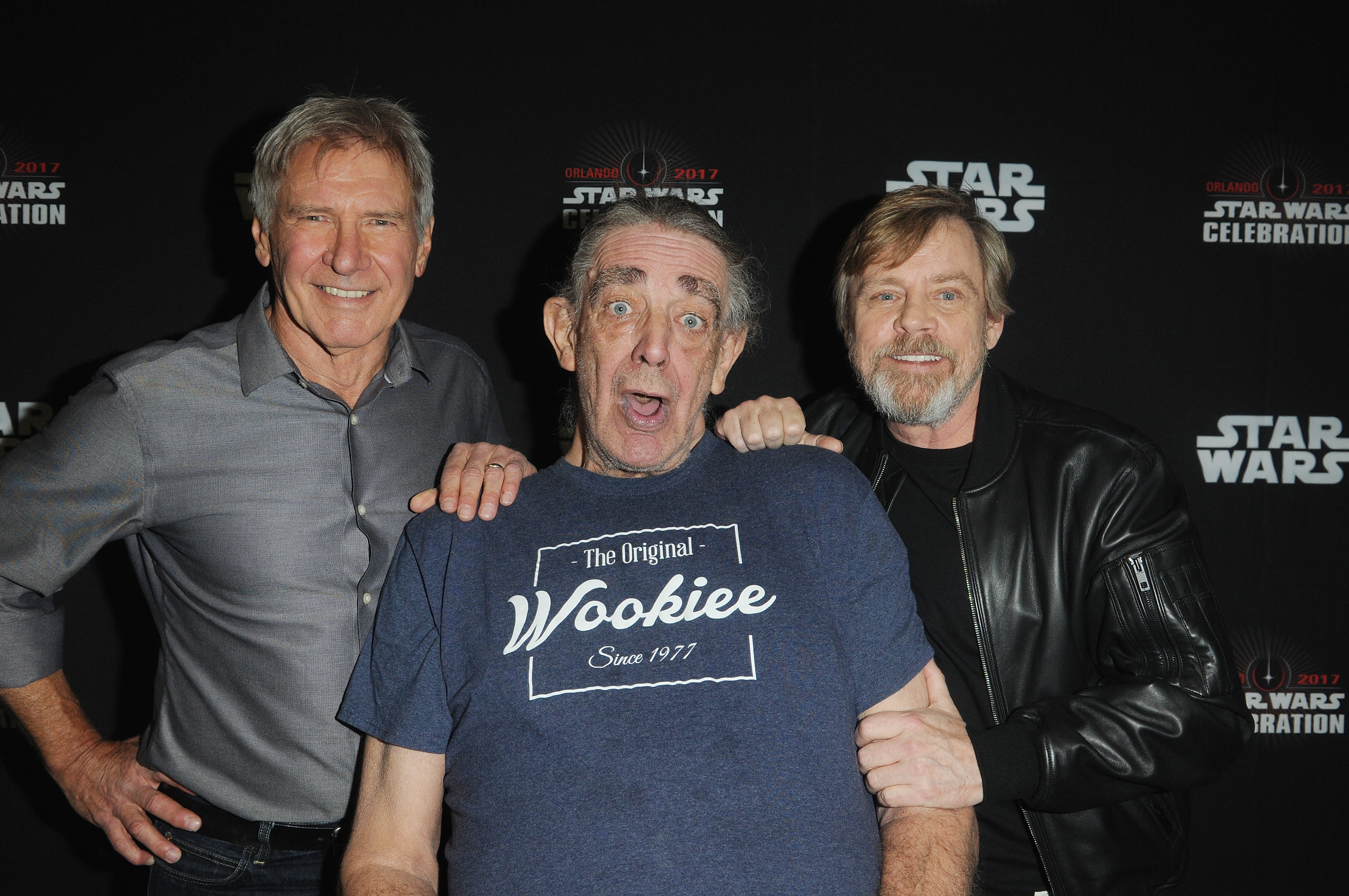 Harrison Ford & Mark Hamill Lead Tributes To Chewbacca Actor Peter Mayhew