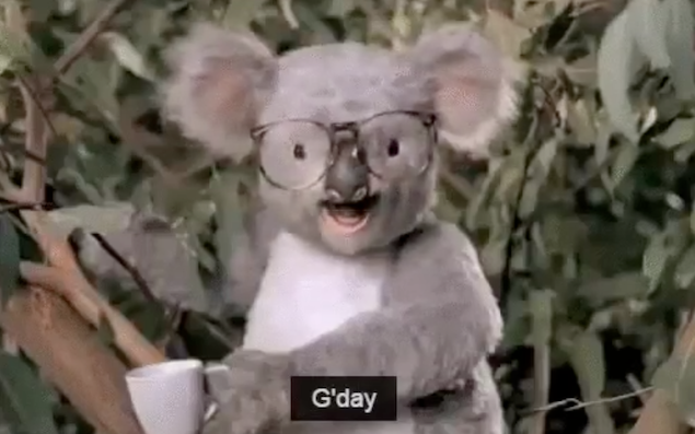 The ABC Responded To An Accidental Tag By Trump With Dignity, Grace & A Koala