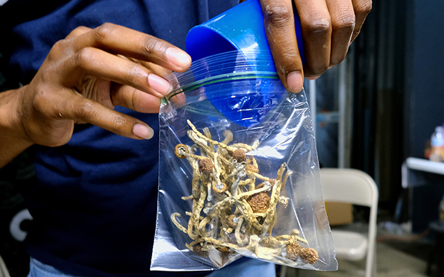 Oakland Just Became The Second US City To Decriminalise Magic Mushrooms