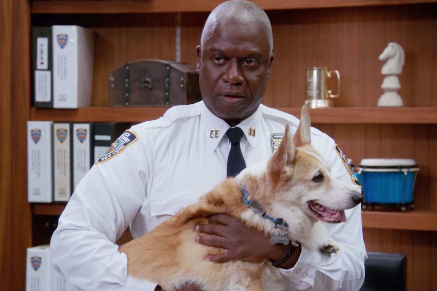 Farewell To The Corgi Who Played Cheddar, The Most Uncommon Bitch On ‘Brooklyn Nine-Nine’