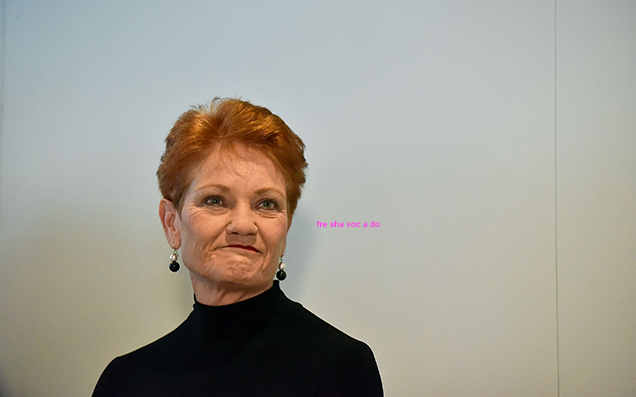 Pauline Hanson Reckons She… Actually Y’know What? Here’s Some Funny Vines