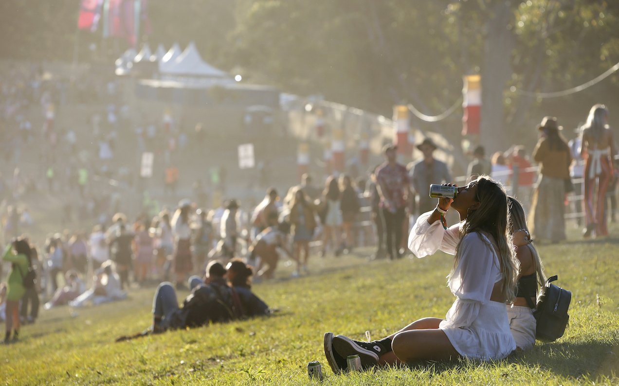 NSW Coroner Urges Pill Testing And No More Sniffer Dogs In Landmark Festival Report