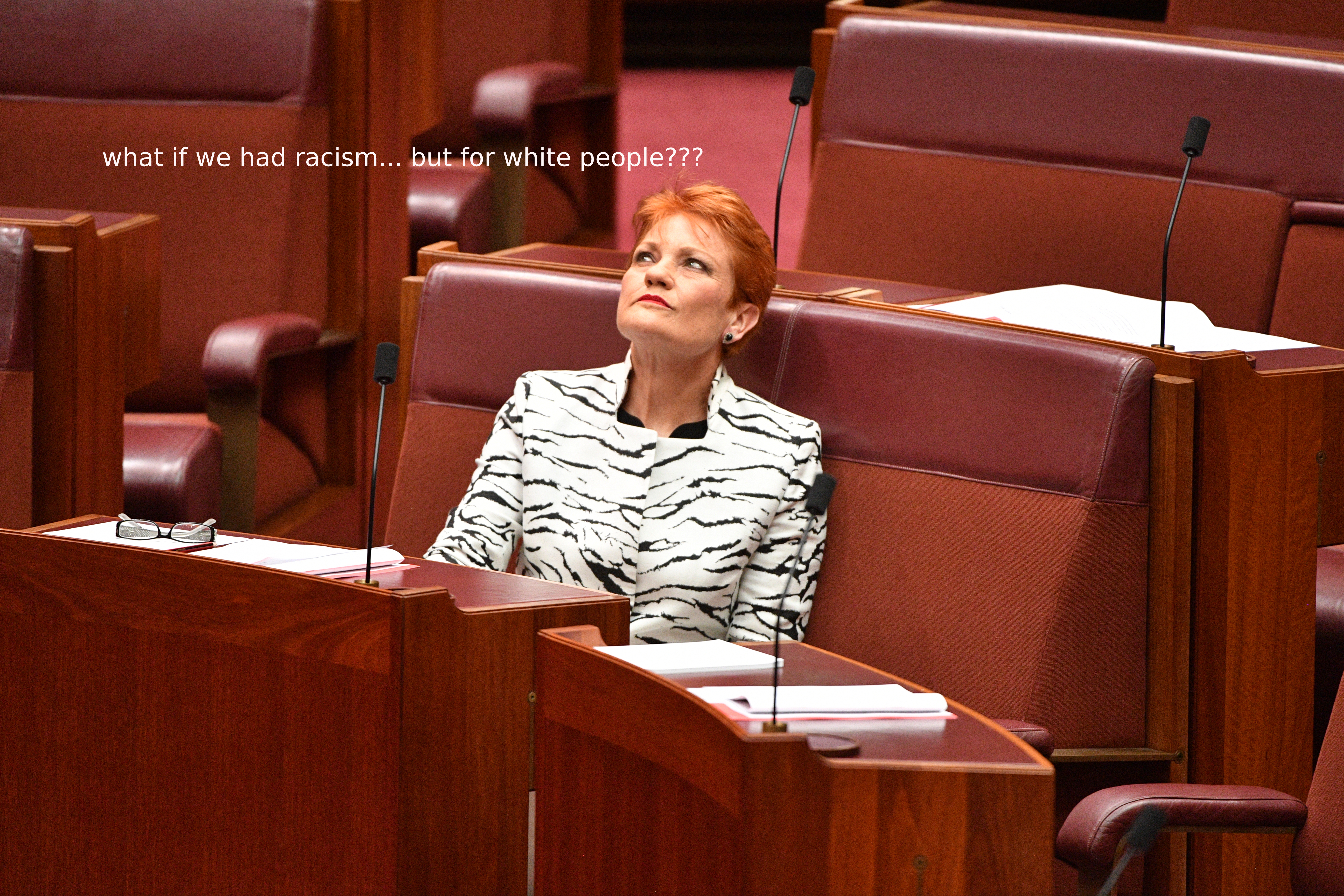 Pauline Hanson Stupidly Asked For Examples Of ‘Anti-White Racism’ & Everyone Delivered