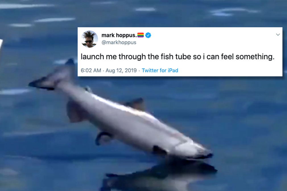 Everyone’s Dangerously Obsessed With This Video Of Fish Getting Yeeted Through A Tube