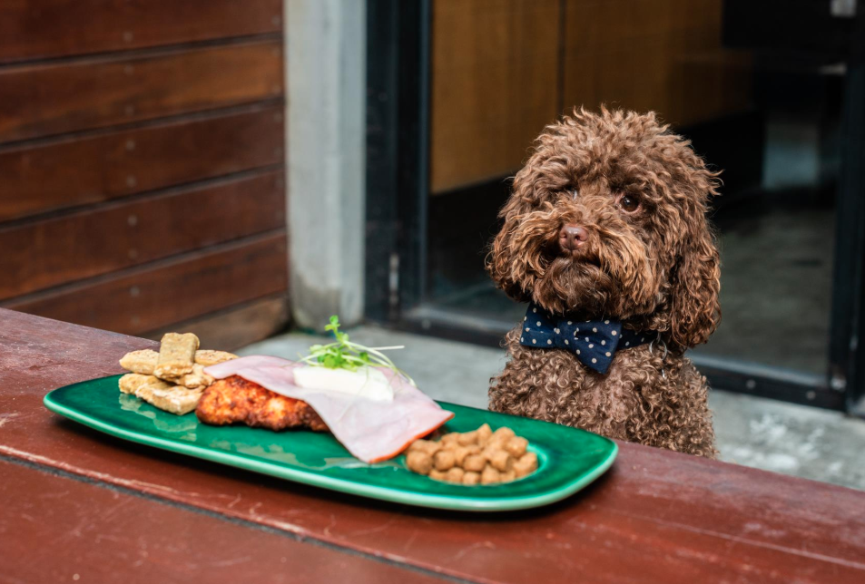 A Pub In Melbs Is Doing $5 Parmas For Dogs So You Can Take Your No.1 Out For Dinner