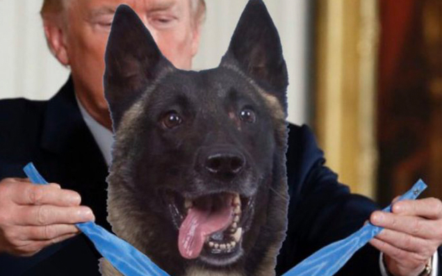 Donald Trump Has Awarded A Medal To A Photoshopped Dog Whose Name He Won’t Reveal