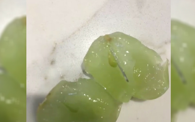 Oh Here We Go, A Melb Woman Claims She Found A Needle In A Grape Over The Weekend