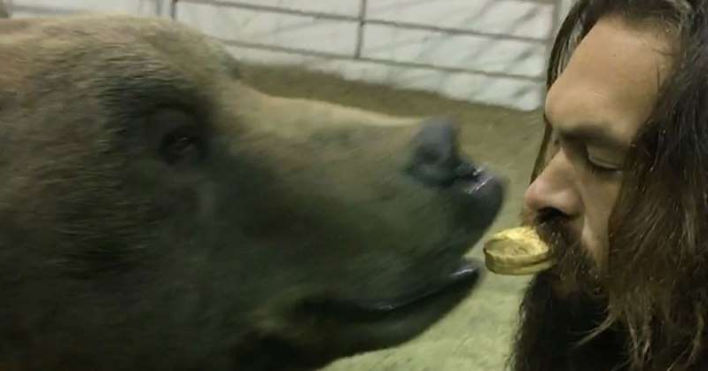 Here’s Jason Momoa Feeding A Cookie To A Real Life Grizzly Bear Out Of His Fkn Mouth