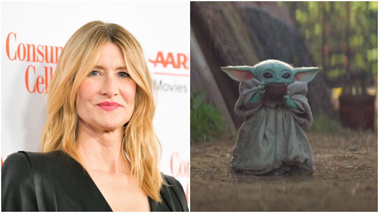 Laura Dern Wants To Fuck Baby Yoda & I’m Not Going To Kink Shame Her For It