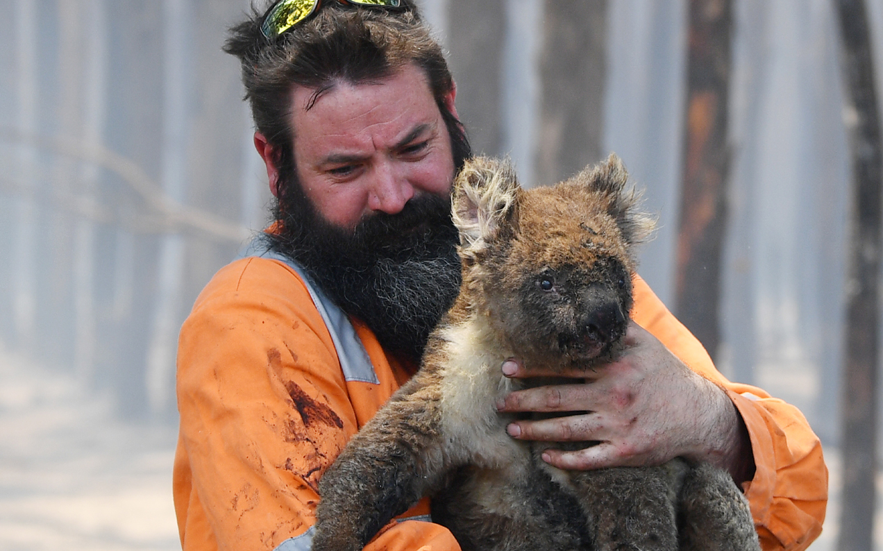 5 Other Ways To Help During The Bushfires If You’ve Already Donated Or Can’t Afford To