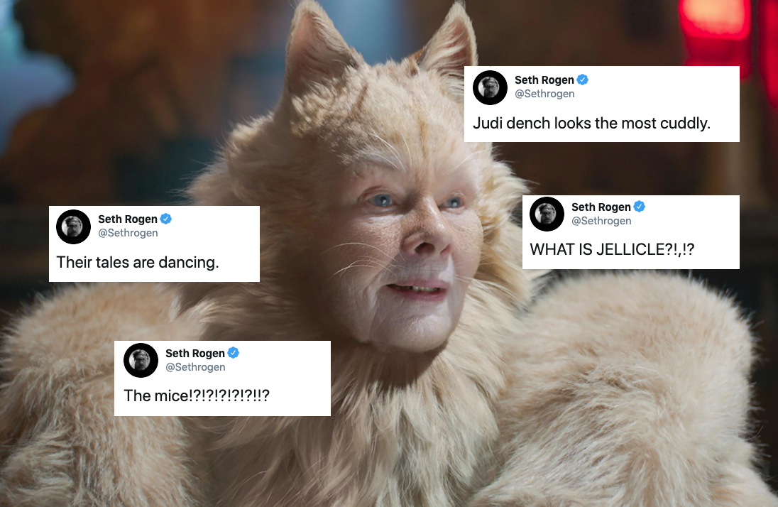 Allow A Stoned Seth Rogen Watching ‘Cats’ For The First Time To Take Your Mind Off Things