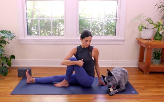 A Loving Ode To ‘Yoga With Adriene’, Most Especially To Benji The Dog Who Is A Global Hero