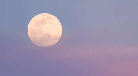 A Super Pink Full Moon Will Illuminate Your Evening Tonight So Reserve A Spot At The Window