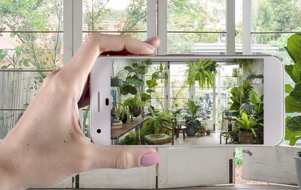 This App Lets You Pimp Your Place With Virtual Plants If You’re The Type To Kill Real Ones