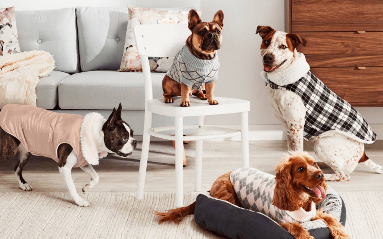 You Can Now Matchy-Match With Your Pooch On W-A-L-K-I-E-S With These Pet Jackets From Big W