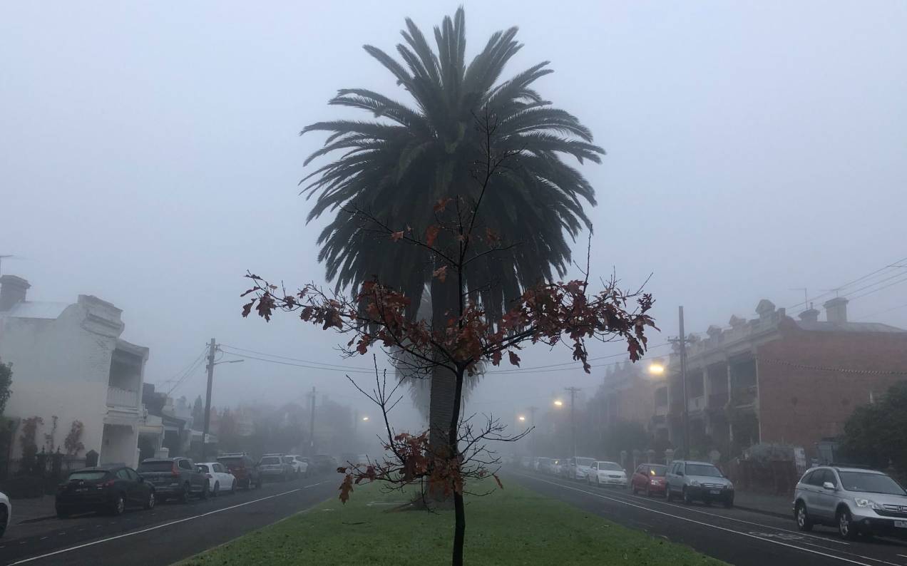 Melbourne Woke Up To A ‘Silent Hill’ Category Of Heavy Fog This Morning, Which Is Fine