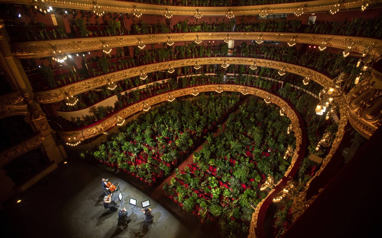Barcelona Held Its First Opera In Three Months To A Captivated Audience Of 2292 Indoor Plants