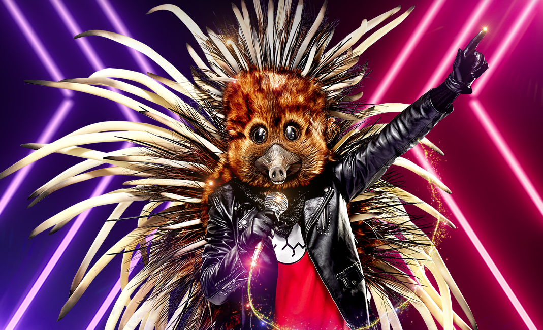Who Is The Echidna On The Masked Singer Australia 2020?