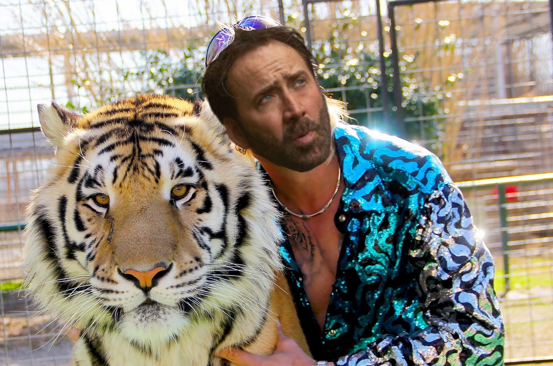 Amazon Just Picked Up The Rights To A Joe Exotic TV Series Featuring *Checks Notes* Nic Cage