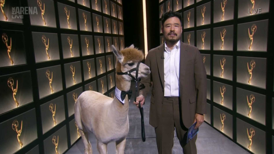 An Alpaca Randomly Appeared On Stage At The Emmys & Oh My God, Look At Its Little Bow Tie