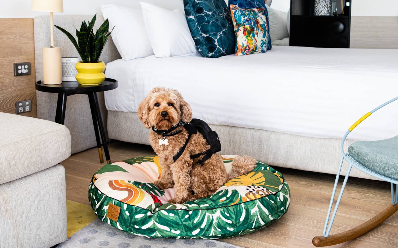QT Hotels Has Literally Gone To The Dogs With Its Bougie New Pup Sleepover Suites