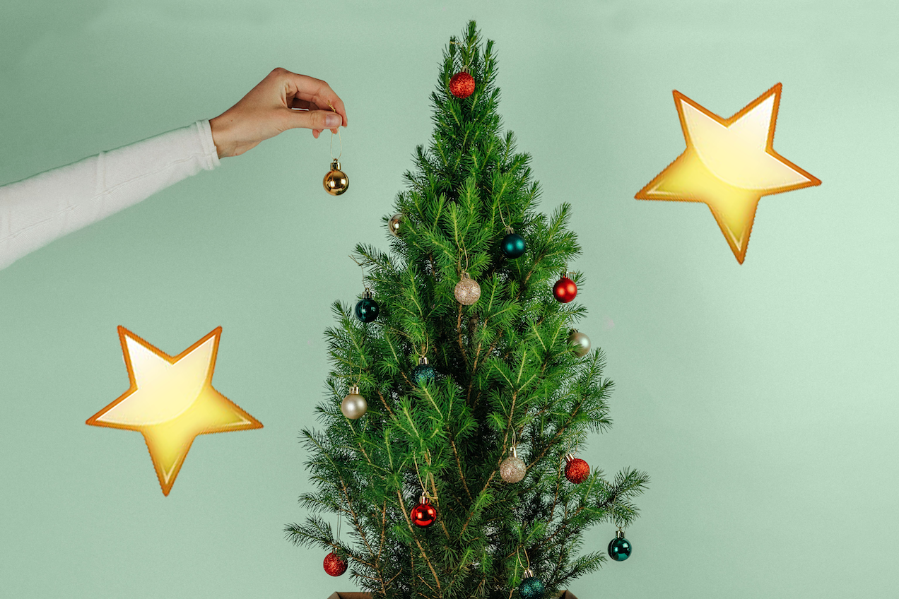 This Melb Florist Is Delivering Mini Xmas Trees So Your Short Mates Can Finally Do The Star