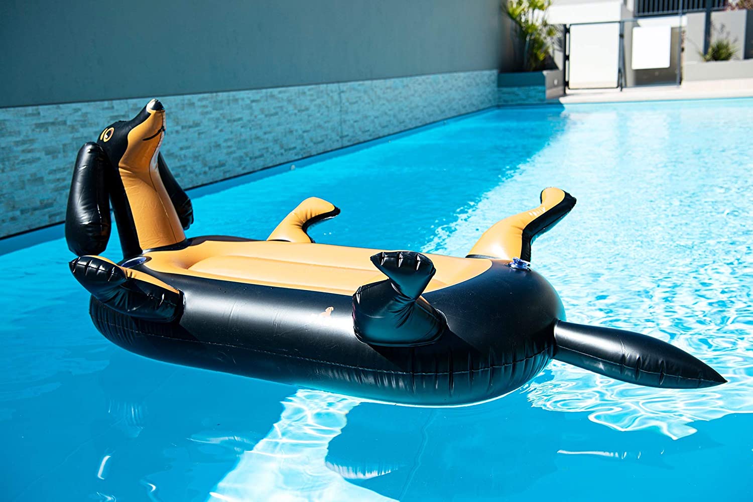 pool-floats-best-adult-inflatable-pool-floats-australia