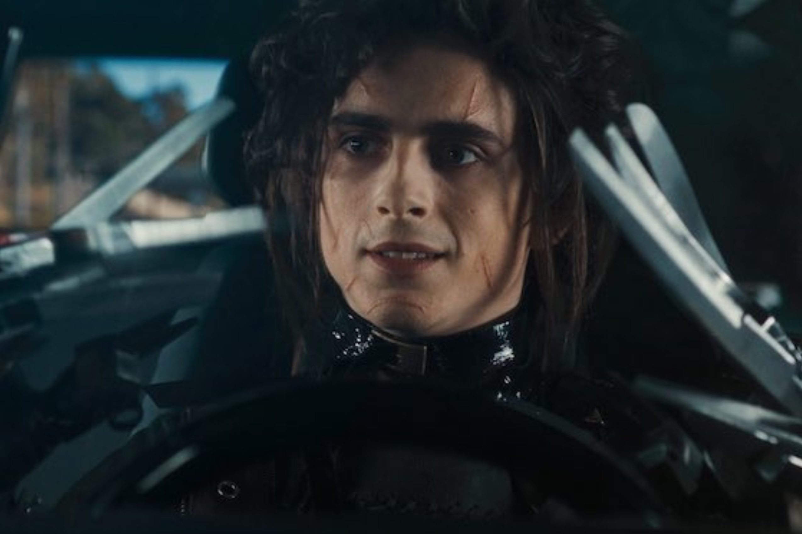 My Vagina Doesn’t Know How To React To Timothée Chalamet As Edward Scissorhands’ Sad Son