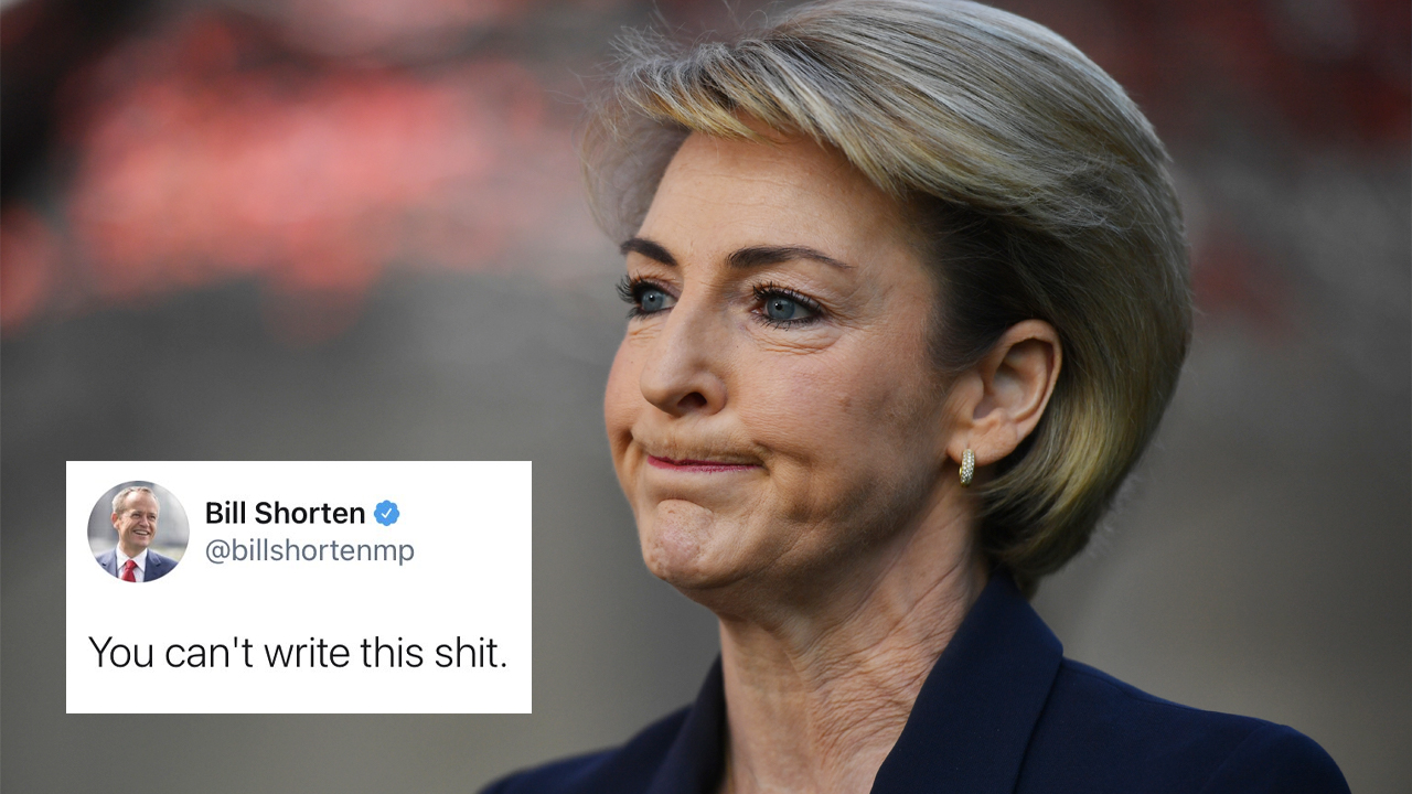 Bill Shorten’s Deleted Tweet About Our New Acting AG Says It All About This Fkn Awful Choice