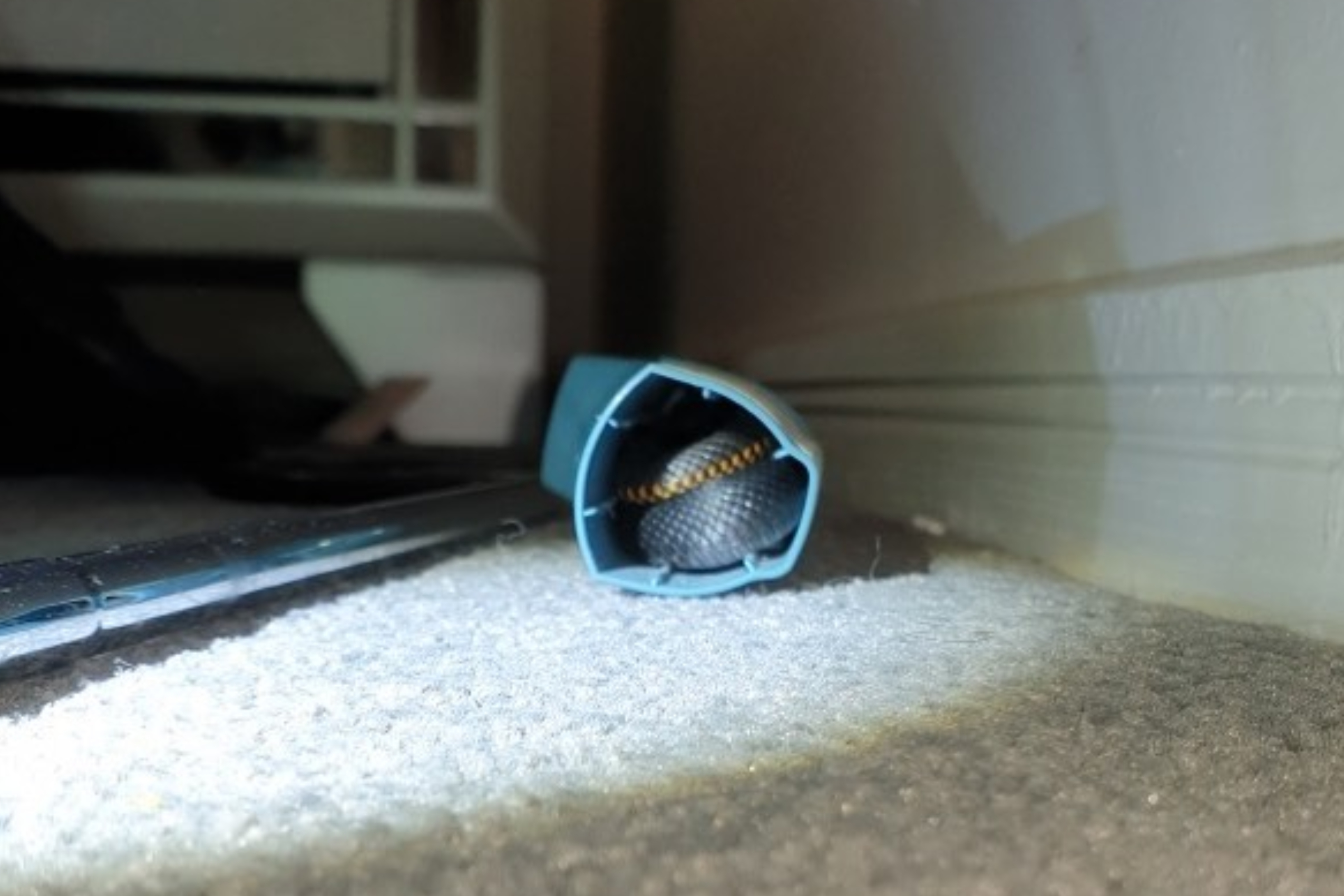 A Wee Snake Was Found Inside A Teen’s Asthma Puffer In QLD & I Think The Fuck Not, Straya