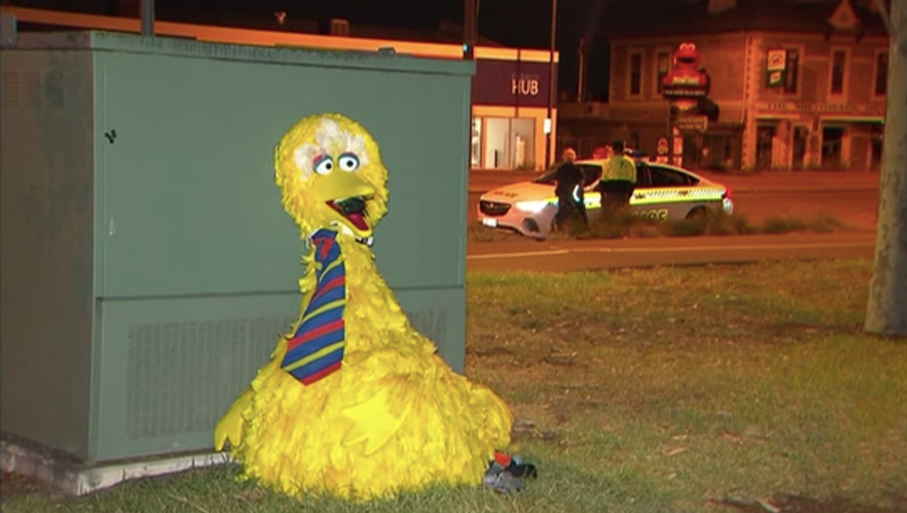 The Two Blokes Who Stole A $160K Big Bird Costume From An Adelaide Circus Could Face 10 Years