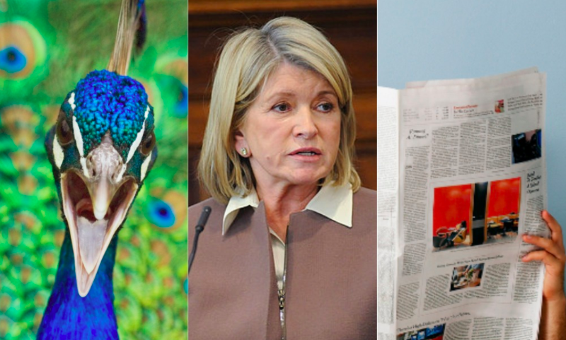 Martha Stewart Blasting The NY Post For Calling Her Peacocks ‘Smelly’ Is The Energy I Aspire To