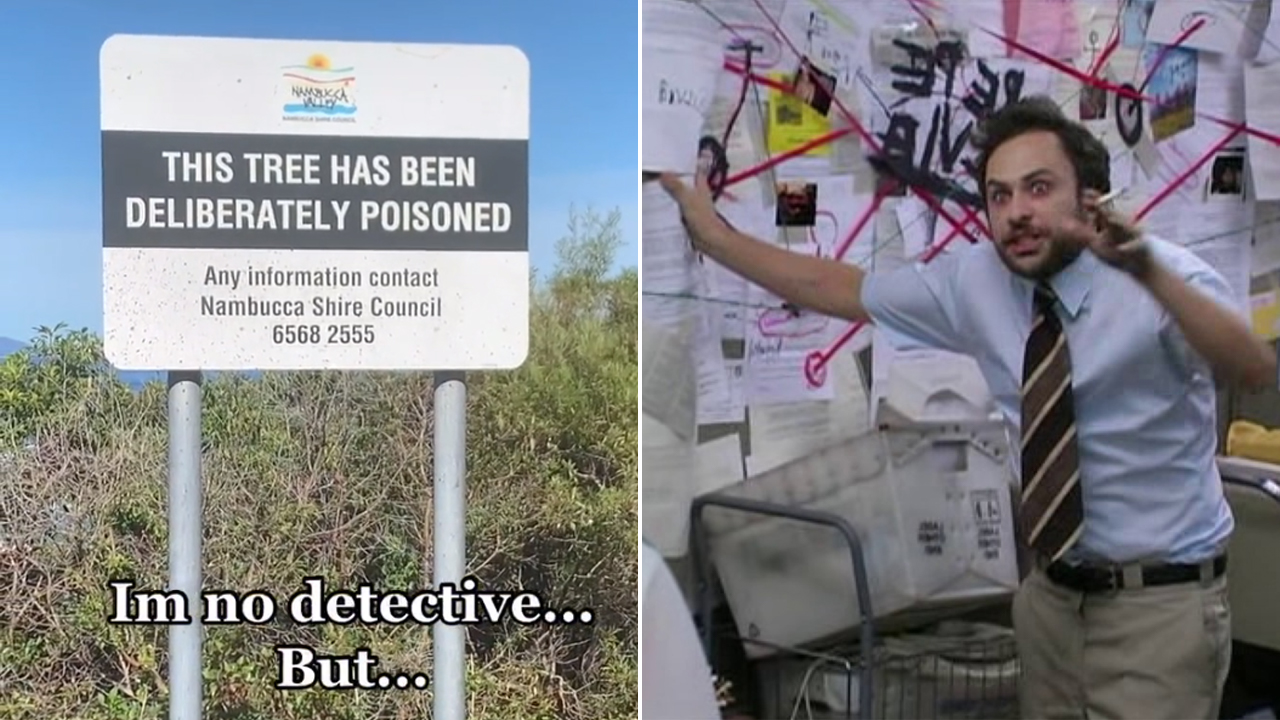 An Aussie TikToker Reckons They Solved The Mystery Of This Poisoned Tree In Just 19 Seconds