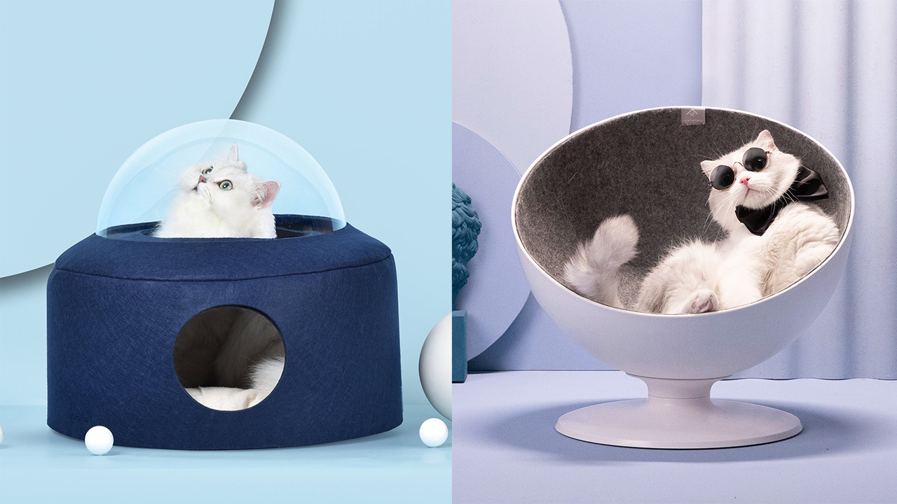 These Cat Beds Absolutely Scream ‘Bow Down To Me Human’ & Therefore My Cat Must Have One