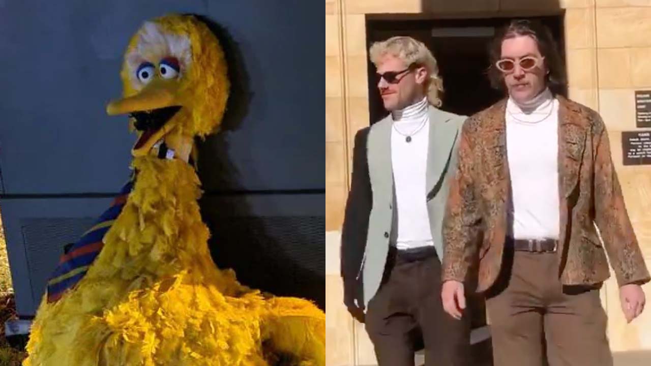 SA’s Big Bird Bandits Had Their Day In Court & The Footage Of Their Exit Is Elite Level Stuff