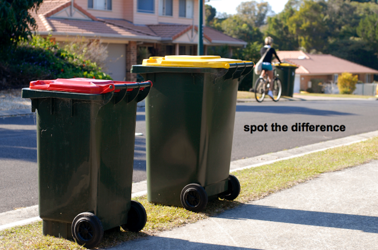 5 Things You Can Do To Help Clean Up Aus Besides Tattling On Your Neighbour For Not Recycling