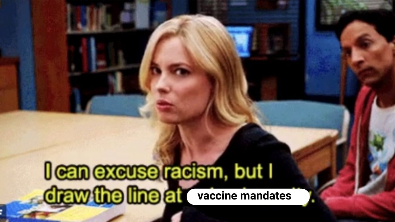 anti-vaxx protester meme