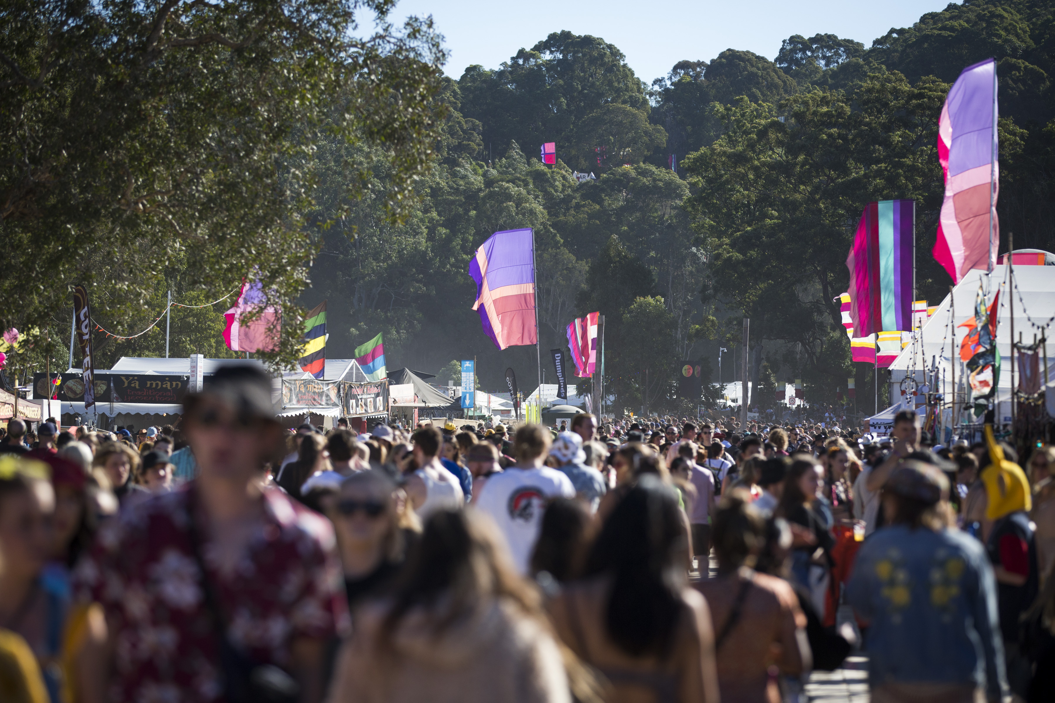 These Law Firms Want To Hear Your Truths About Unlawful Searches At Splendour In The Grass