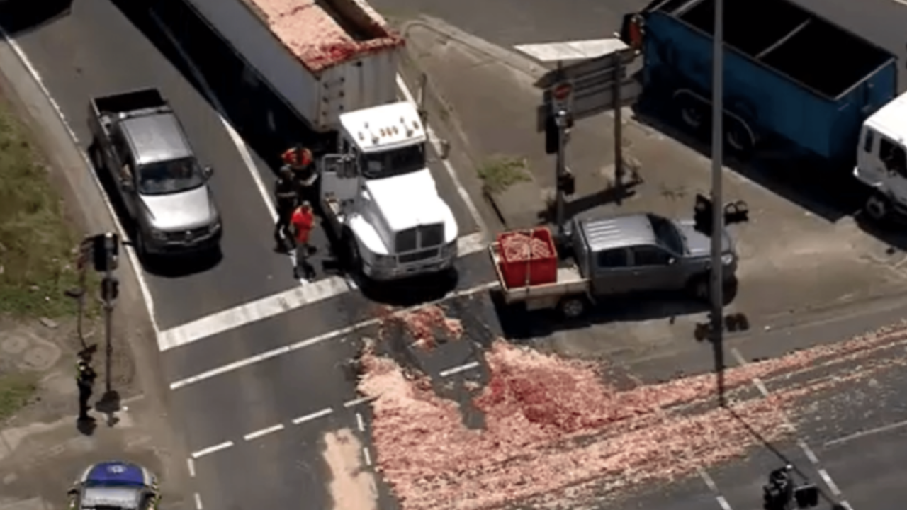 It Just Got Even More Stinkin’ Hot In Melb ‘Cos A Truck Has Spilled Animal Entrails On The M80