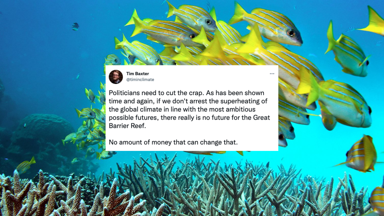 The Coalition Has Promised A $1B Great Barrier Reef Fund But Fails To Address Its Biggest Threat