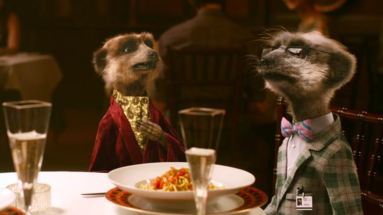 Compare The Market Pulls Iconic Meerkat Ads Over Concerns Ppl Will Associate Orlov & Co With Putin