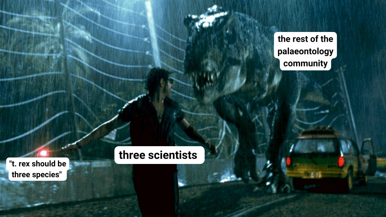 Ci naukowcy wyłączają ciepło, aby zasugerować dwa nowe gatunki T. Rex