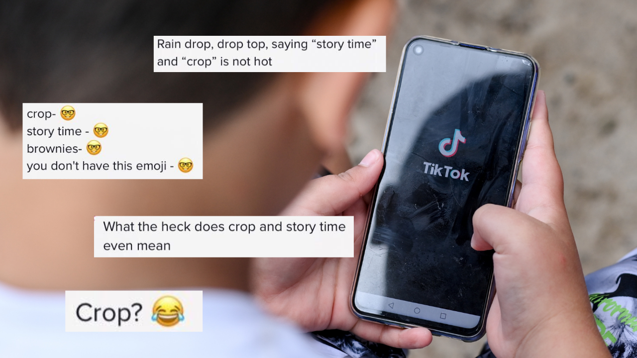 Here’s Why Every TikTok Video Under The Sun Has Fk Loads Of ‘Crop’ & ‘Story Time’ Comments